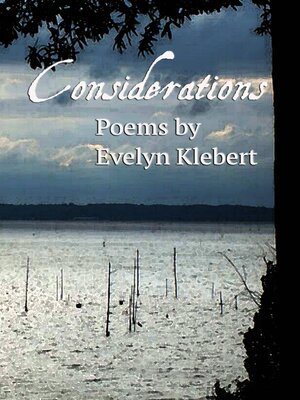 cover image of Considerations